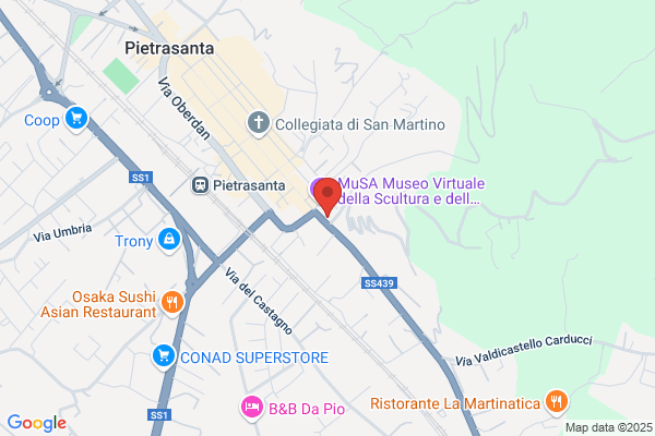 Tartarelli monica (Arch.)