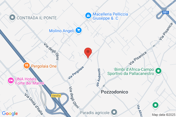 Pelliccia leonello