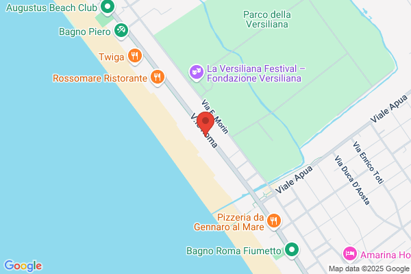 Hotel Versilia Palace