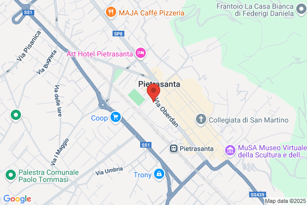 Iulia Neboisa Academy