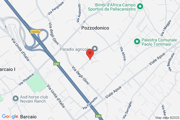 Officina Baldi Domenico