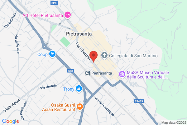 Palla spartaco