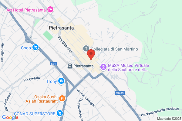 Galleria Darte Astuni Srl - Unipersonale