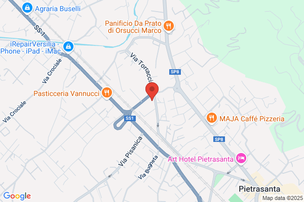 Versilia Service Dei Fratelli Galli E C. Snc