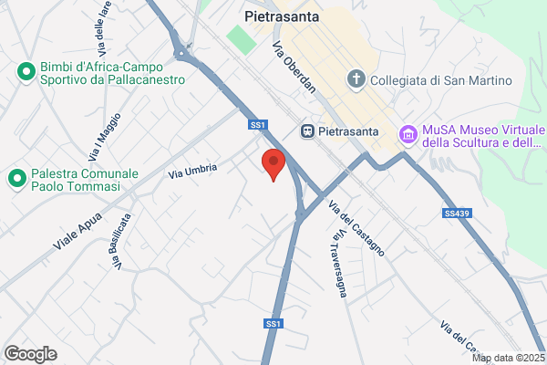 S.I.A.E. Agenzia Di Cesarini V.