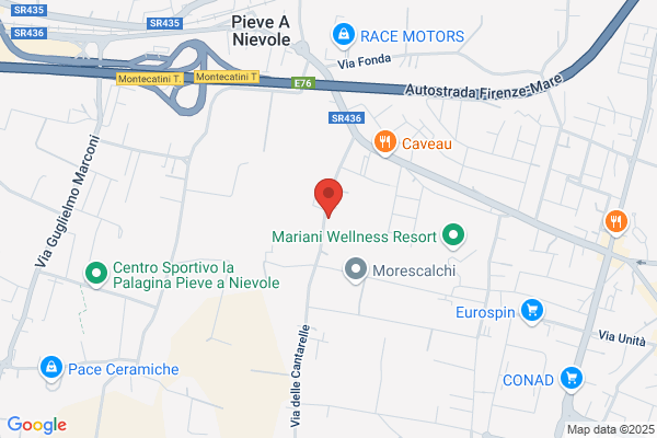 Menconi luciano