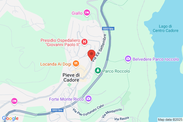 Paniz maurizio (Avv.)