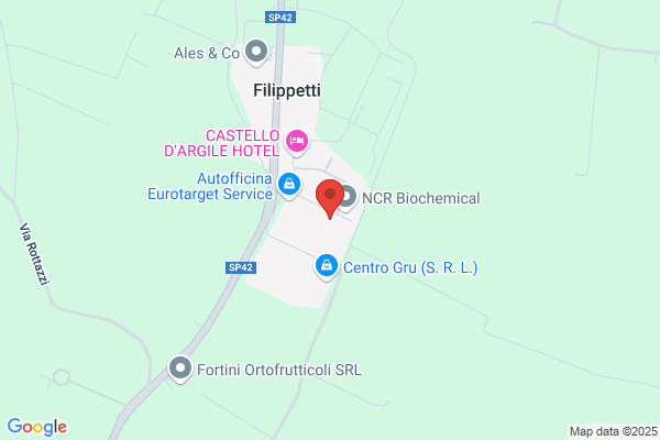 E. P. Produzioni Elettroniche Di Br Egoli gianpaolo