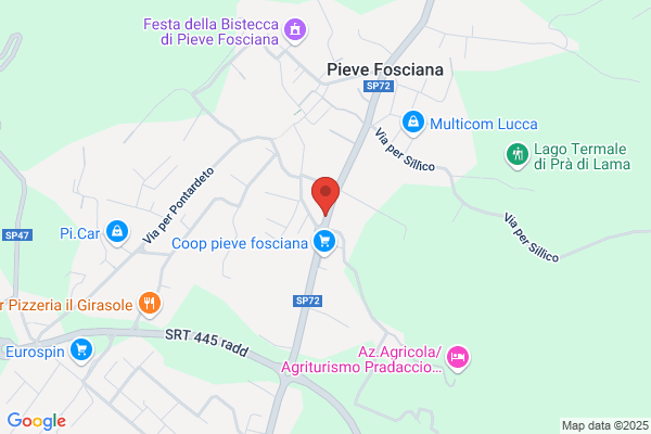 Biagioni Fabrizio