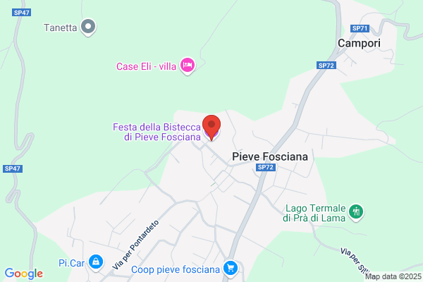 Fiorentina Gas (S.P.A.)