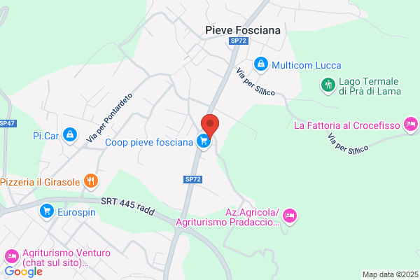 Il Ricciolo