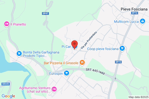 Pioli giuseppe