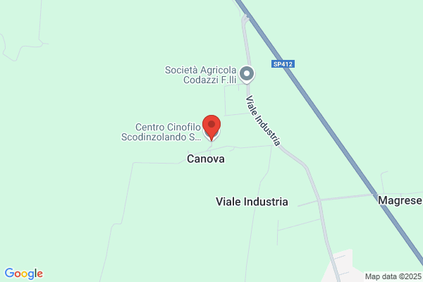 Palladini lino