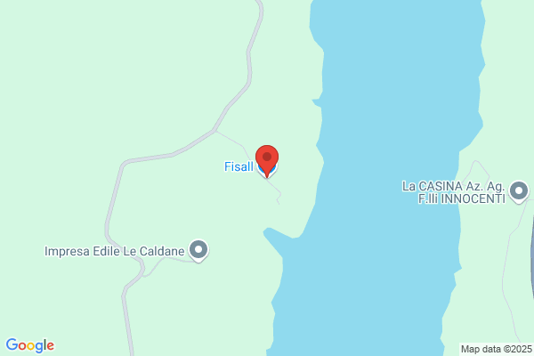 Fisall