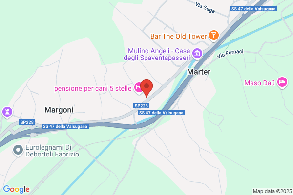 Angeli Camillo Autotrasporti