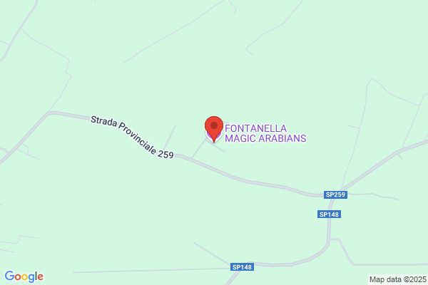 Fontanella Magic Arabians Srl
