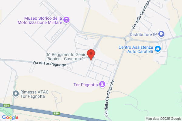 Forze Armate 21 Reggimento Genio Pionieri