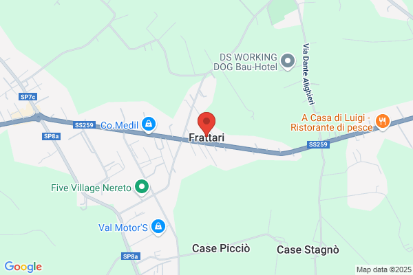 Frattari Mario