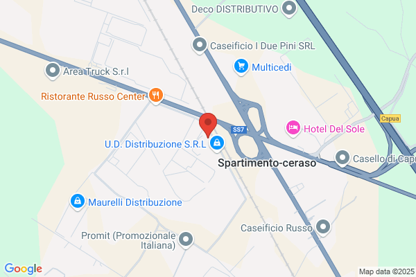 Geo Gest Srl