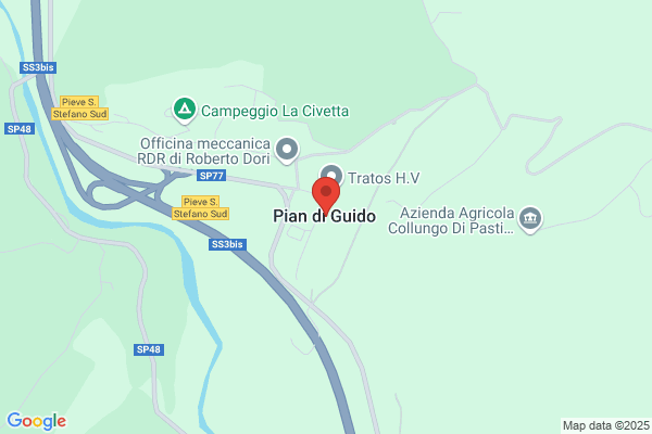 Giannini Guido
