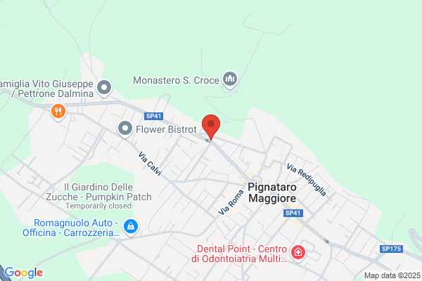 Giaquinto Rosa