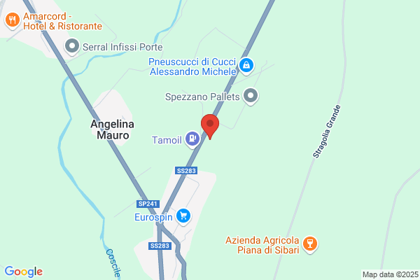 Pignataro Trasporti S.A.S. Di Luciano Turino E c.