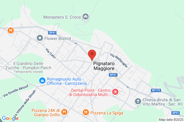 Romagnuolo angelo
