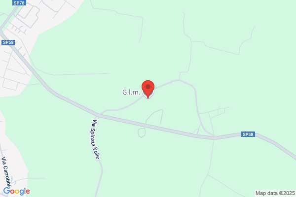 G.L.M. Srl