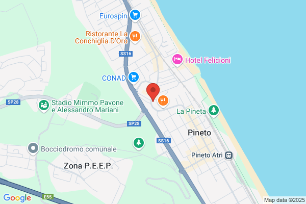 Il Tulipano Di Saponaro Franca