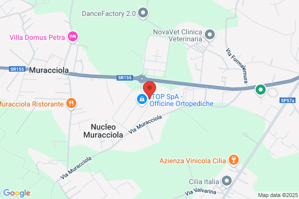 Grilli Trasporti Srl