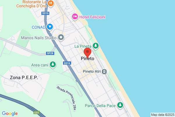Netcom Srl