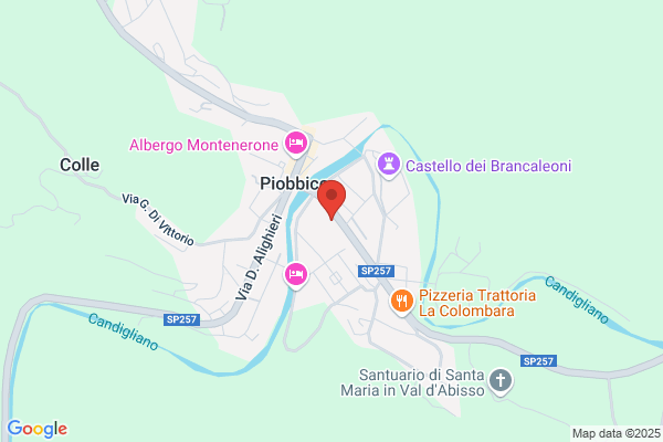 Pazzaglia domenico