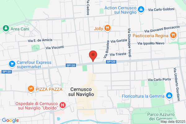 Rosci dante (Rag.)