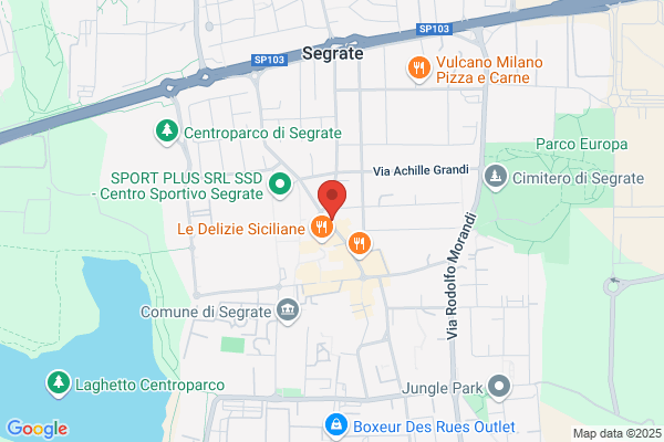 BLINDOSERR ASSISTENZA CASSEFORTI 24H