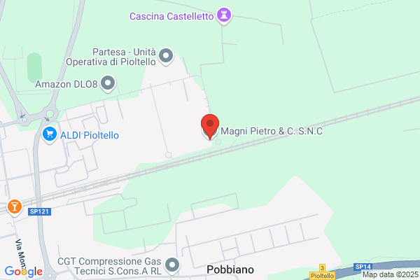 Magni carlo