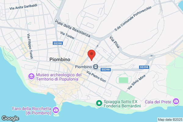 Partito Democratico Della Sinistra