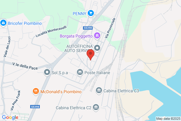 Partito Democratico Della Sinistra