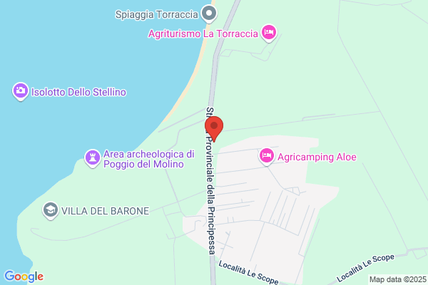 Azienda Agricola Daddi Nedo - Frutta e Verdura di Produzione Propria