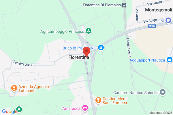La Fiorentina Di Mercati Cristina &. C. sas