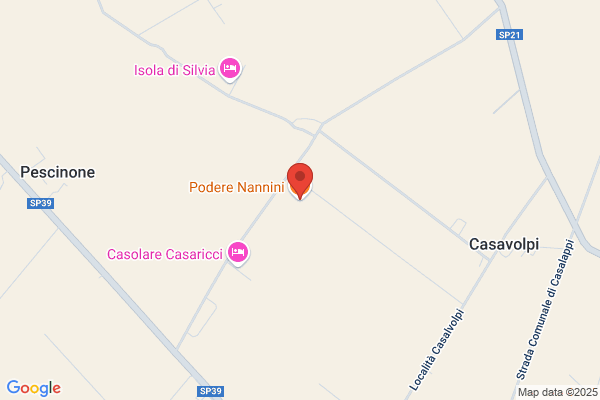 Toni Fidenzio Podere S.Luigi