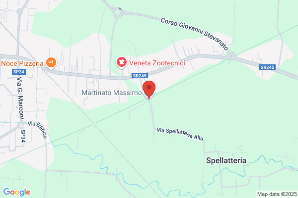 Macente giorgio