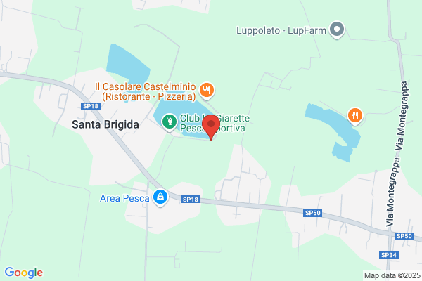Ristorante Pizzeria Il Casolare