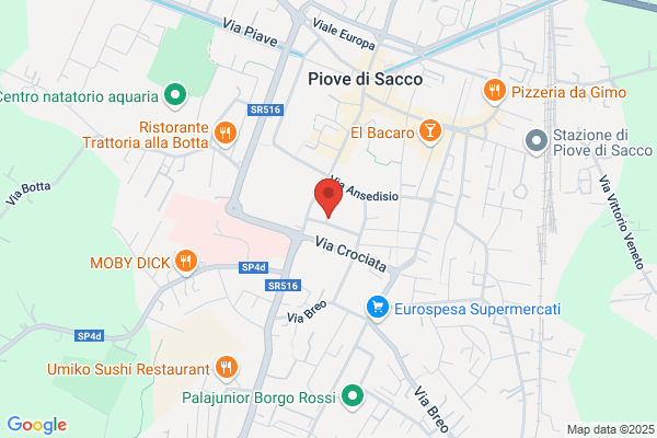 Trombetta silvano (Ing.)