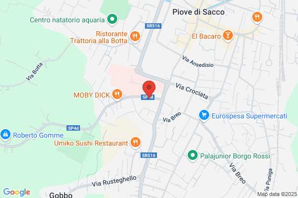 Pulgas Di Liviero Denis