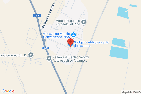 Promo & Services Pisa (S.R.L.)
