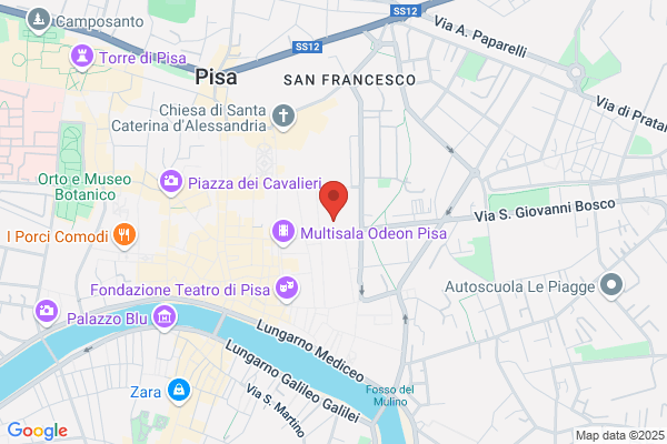 Ord.Arch.Prov.Pisa