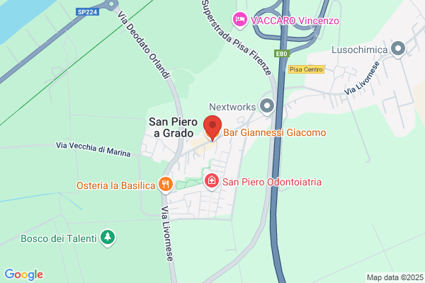Giaconi Sauro