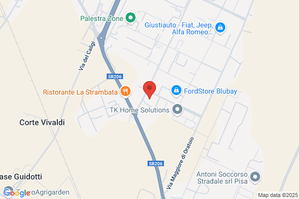Nelli Auto Srl