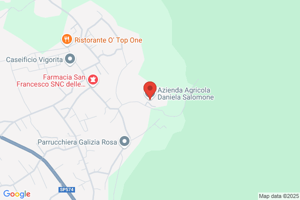 Salomone caterina