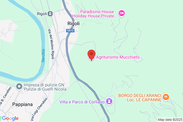 Michelucci giuliano